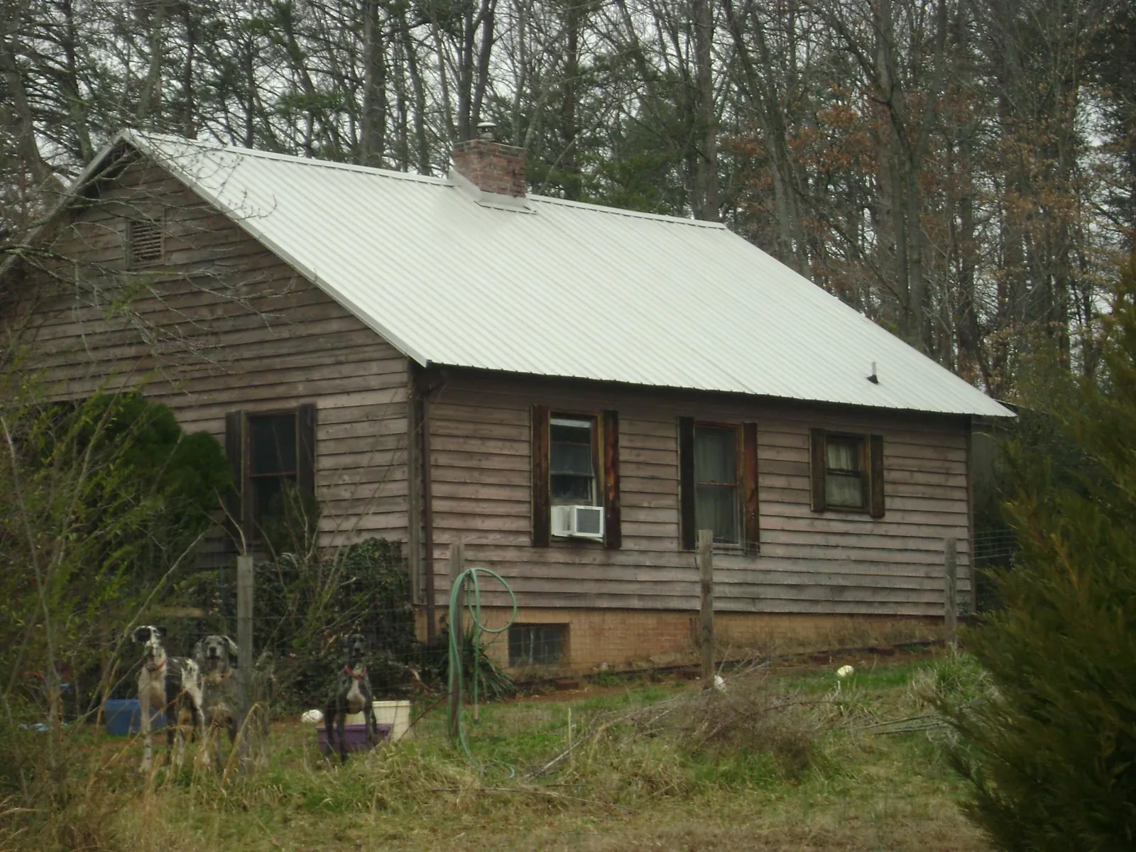 White metal roof on an old wood sided farmhouse, from a Metal Roof Installation job in Ferndale